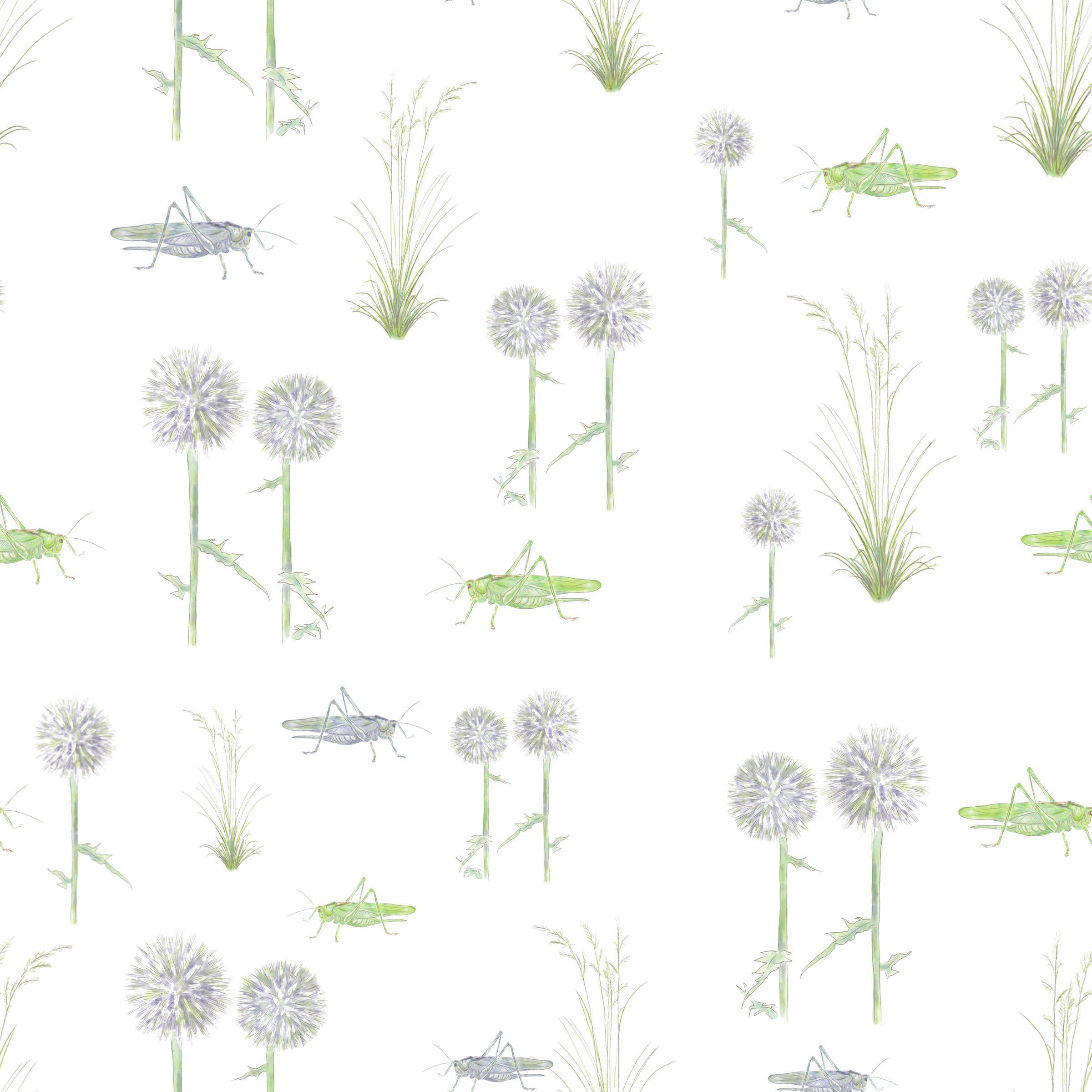 GRASSHOPPERS, GLOBE THISTLE AND GRASS PATTERN